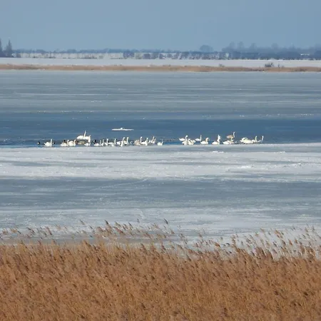 Haus Am Breezter Bodden 1og * Vieregge